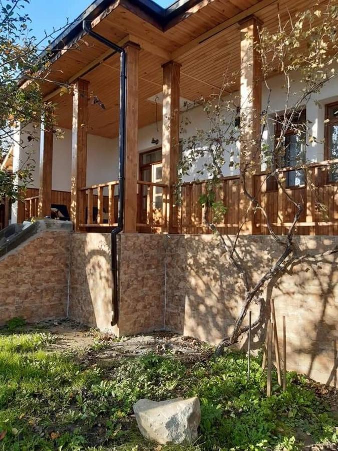 Pensiunea Dodo Patarlagele Bagian luar foto