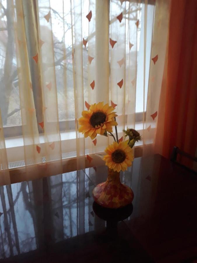 Pensiunea Dodo Patarlagele Bagian luar foto