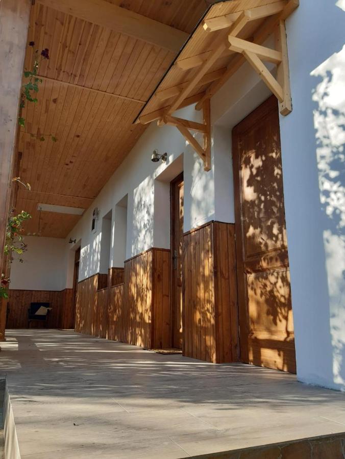 Pensiunea Dodo Patarlagele Bagian luar foto