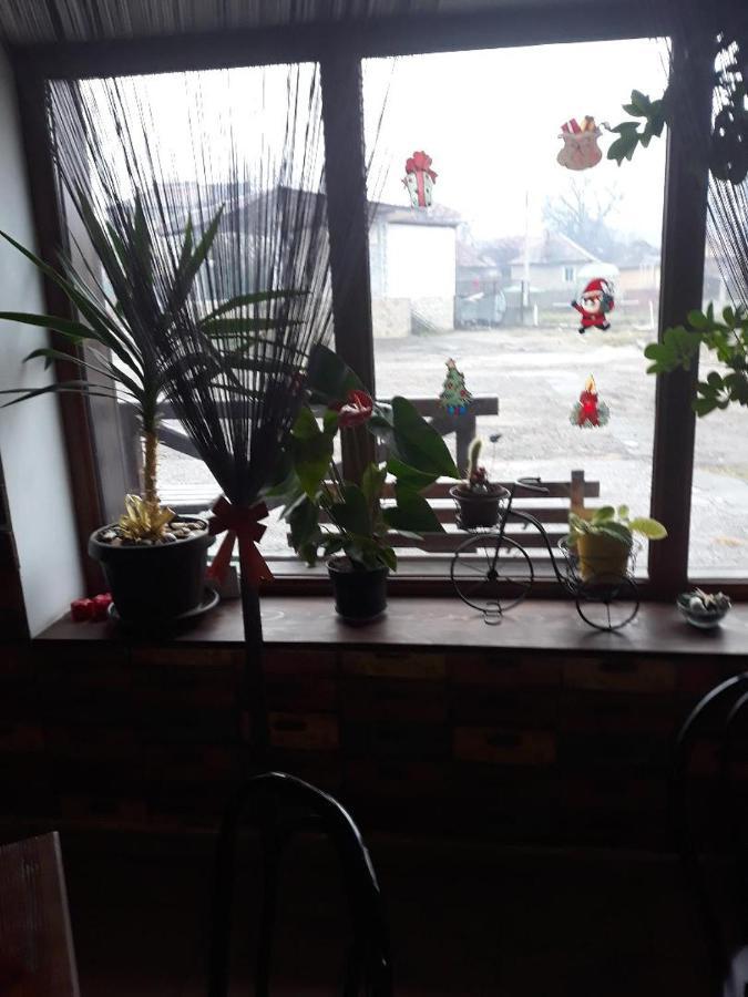 Pensiunea Dodo Patarlagele Bagian luar foto