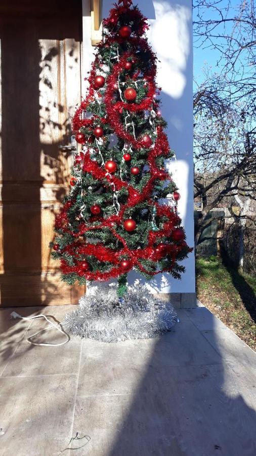 Pensiunea Dodo Patarlagele Bagian luar foto