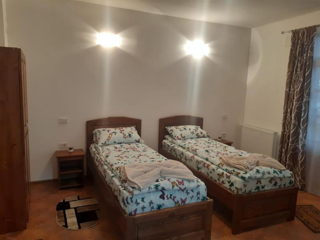 Pensiunea Dodo Patarlagele Bagian luar foto