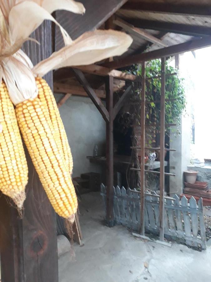 Pensiunea Dodo Patarlagele Bagian luar foto