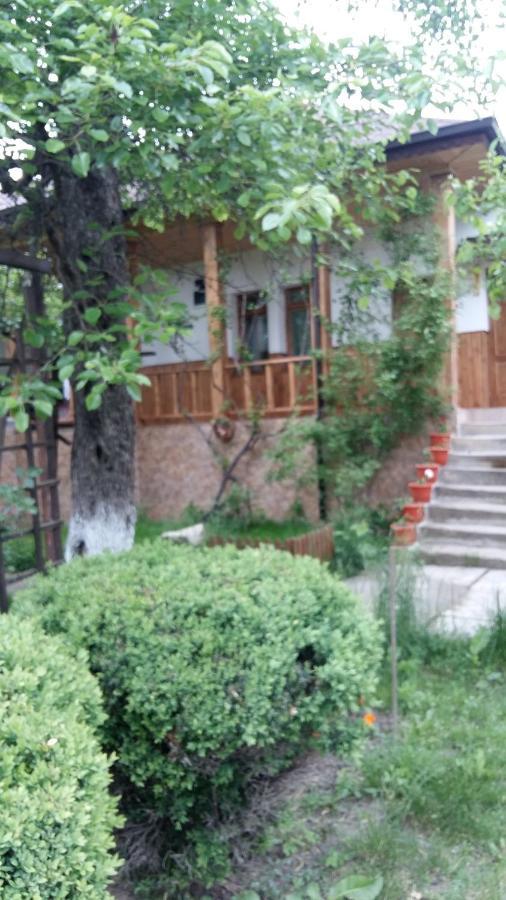 Pensiunea Dodo Patarlagele Bagian luar foto