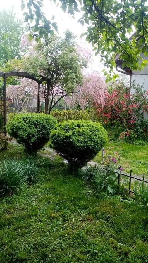 Pensiunea Dodo Patarlagele Bagian luar foto