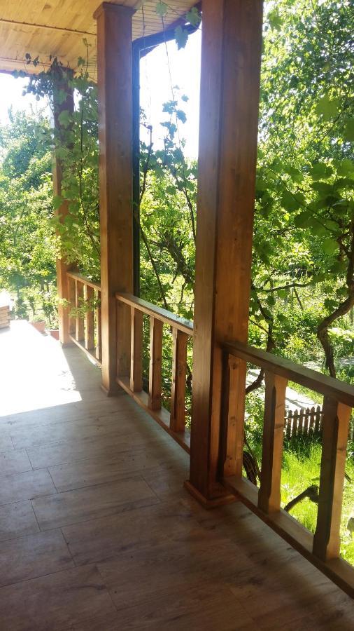 Pensiunea Dodo Patarlagele Bagian luar foto